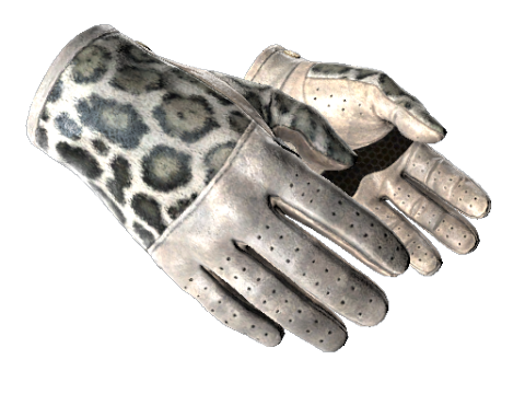  Dream Chaser Gloves